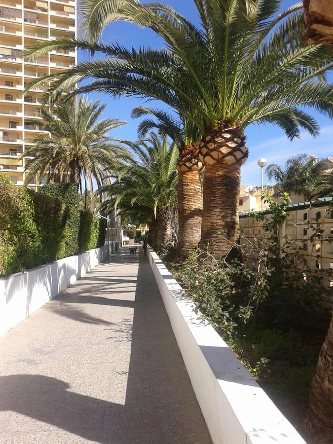 Apartamento Puigval Luaran gambar